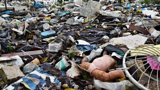 Tímto nánosem vegetace v mangrovovém porostu, který by pomáhal čistit vodu v zálivu Guanabara, neproroste