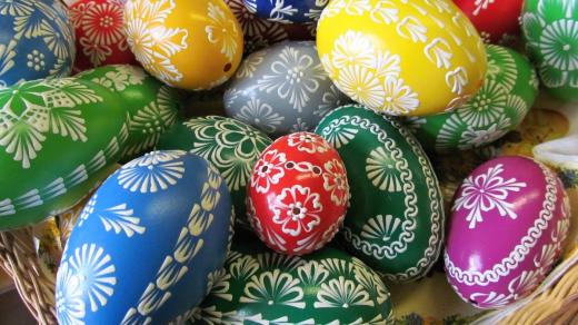 Slepičí kraslice mezi husími