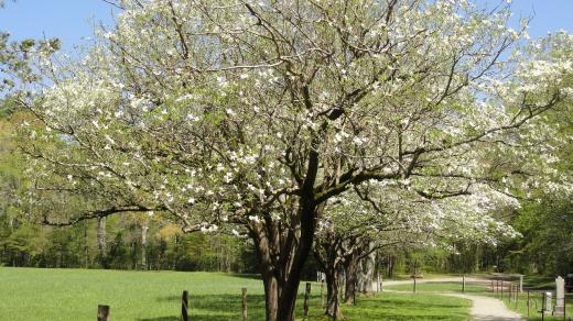 Jarní příroda (ilustrační foto)