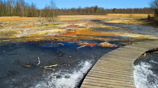 Rezervací projdete suchou nohou díky povalovému chodníku