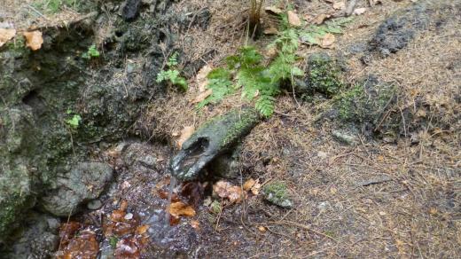 Žandova studánka poblíž Jihlavy
