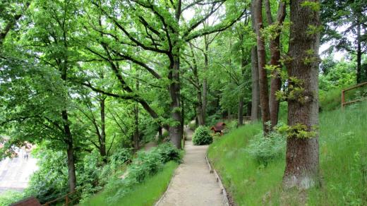 Místu dominují vzrostlé lípy a duby