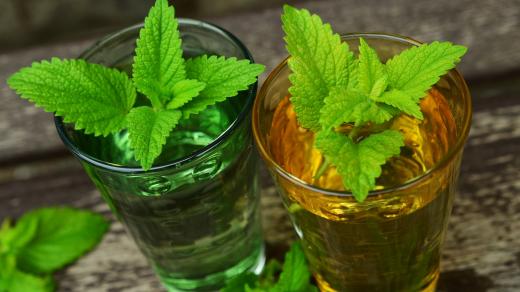 Limonáda, nápoj (ilustrační foto)