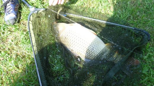 Rybaření, ilustrační foto