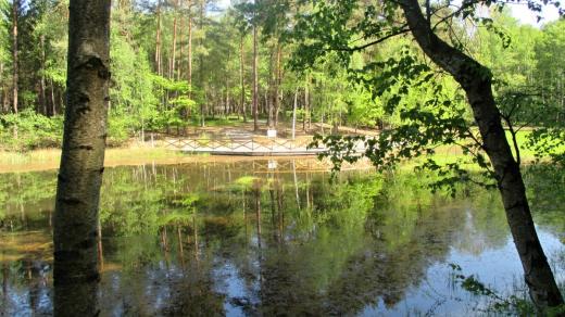 Arboretum je oázou i pro vodní živočichy