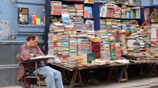 Podzimní knižní tipy přinášejí dekadenci a romantiku zániku (foto Geraint Rowland)