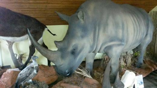 Africké muzeum v Holčovicích na Bruntálsku