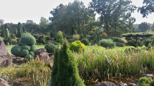 Miniarboretum U Holubů ve Staříči