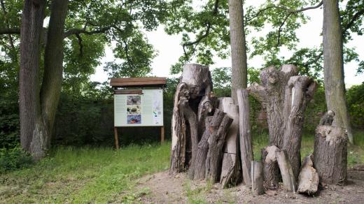 Park s takzvaným broukovištěm