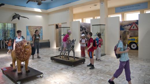 Africké muzeum v Holicích