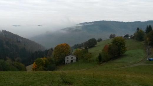 Pohledy do krajiny