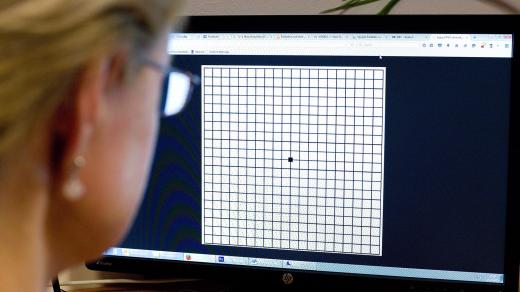 Amslerova mřížka umožňuje rychlý test i u počítače