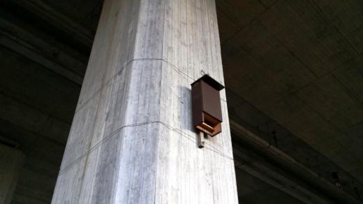 Budka pro netopýry na dálničním sloupu 