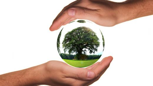 Země, ekologie
