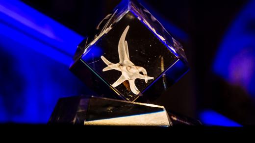 Detail ceny Nadačního fondu Neuron