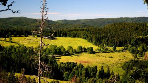 Šumava