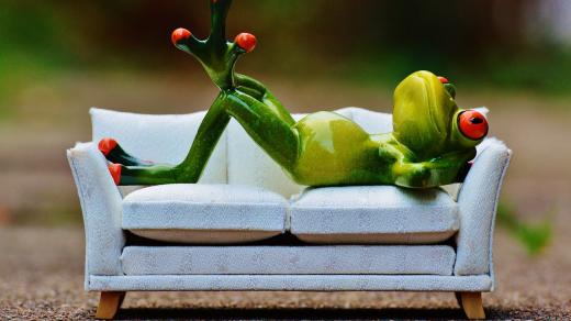 Lenost, gauč, odpočinek, žába