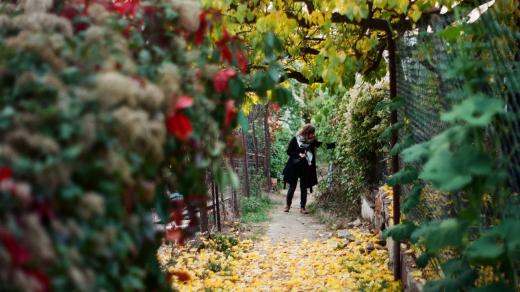 Z bloumání Jonáše Zbořila