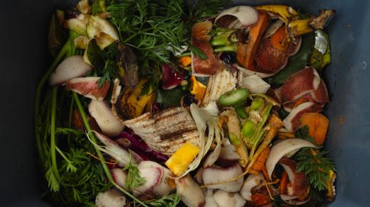 Plýtvání jídlem - plýtvání potravinami - jídlo - potraviny - odpadly - popelnice