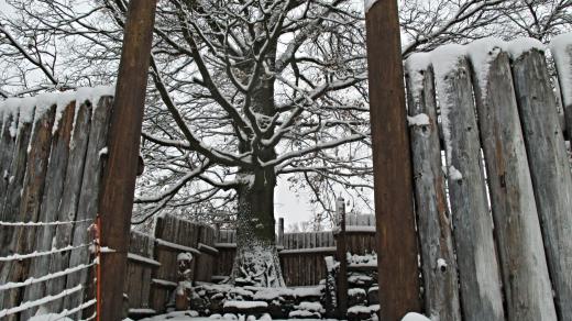 Svatyně s památným stromem byla pro Kelty tím nejdůležitějším místem