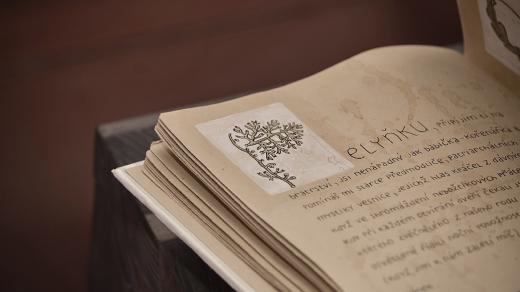 Scriptorium