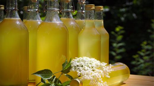 Sirup z květů černého bezu