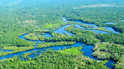 Amazonský prales