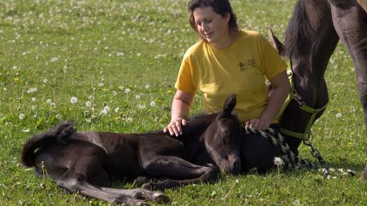 Marie Čiplová, chovatelka koní