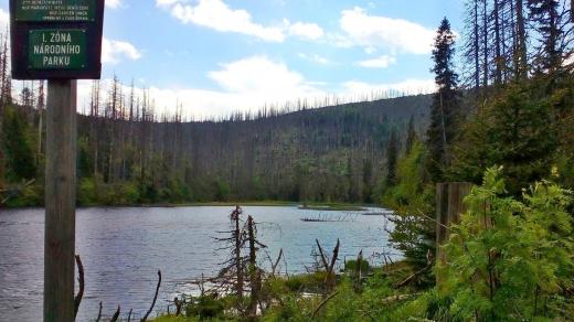 Jezero je právem součástí Národního parku Šumava