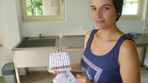 Barbora Zemanová, koordinátorka genetické banky