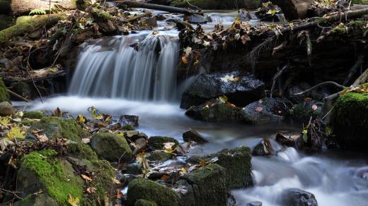 Potoky naši krajinu zkrášlují. Ubývá v nich ale voda? (ilustrační foto)