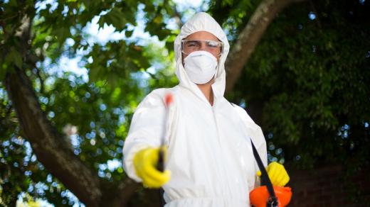 Hubení nežádoucích rostlin a škůdců