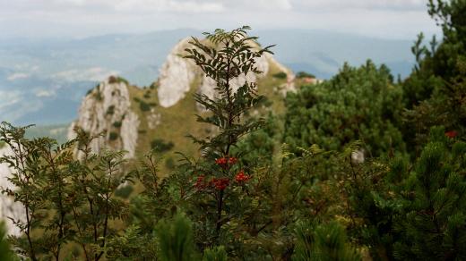 Les - Malá Fatra 