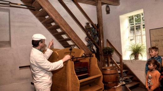 Mlýn Dřevíček se nachází v Horním Dřevíči u Stárkova v malebném údolí potoka Olšavka