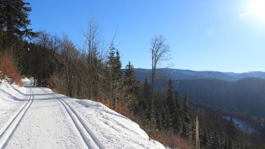 Běžecká trasa ke Švýcárně