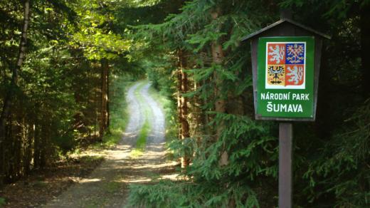 Stachy, Losenické údolí, hranice NP Šumava