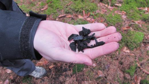 V milíři dodnes nalezneme spodní nekvalitní vrstvu uhlí, často překrytou jen lehkou zeminou