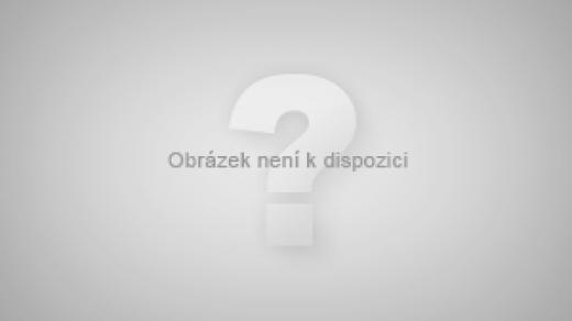 DVTV Apel