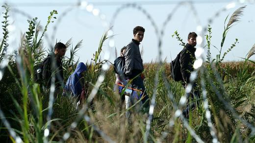 Migranti