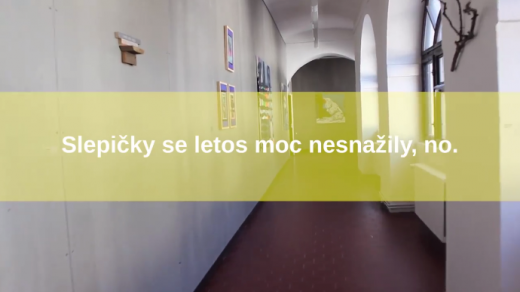 Z videa feministického kolektivu 4. vlna, které kriticky reflektuje výstavu Co je současný obraz?
