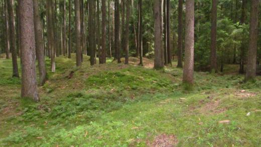 Mohylové pole na Babě nad jihočeským Vitínem už má archeologické průzkumy za sebou