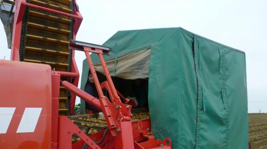 Sklizeň brambor, Školní statek Humpolec