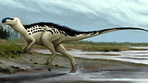 Burianosaurus
