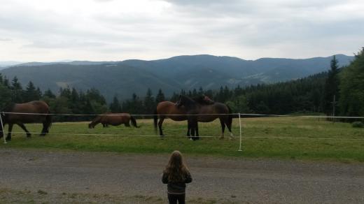 Od chaty se nabízí pohled nejen na koně, ale také na prales Mionší