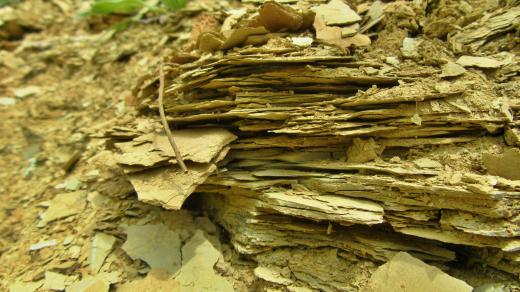 V každé vrstvě je jeden rok života na dně jezera