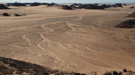 Núbijská poušť - Wádí Halfa (rok 2008) 