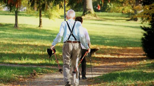 nordic walking