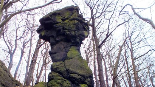 Skalní hřib na Magnetovci leží stranou frekventovaných turistických tras