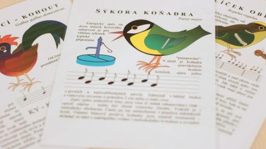 Sýkora koňadra v notách od Tomáše Krásenského