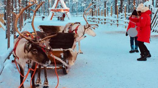 Součástí nabídky turistických atrakcí v Santově vesničce je i sobí safari